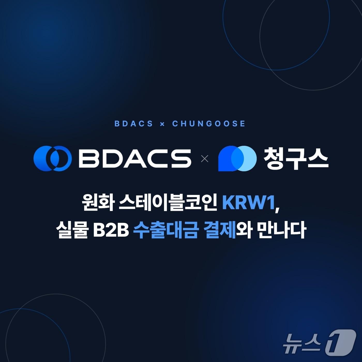 (비댁스 제공.) 