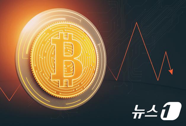 올해 가장 많이 오른 대형코인은 'BNB·트론'…도지코인은 60% 폭락