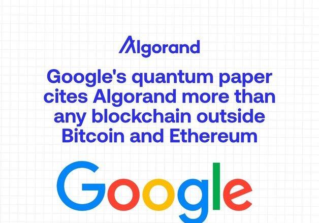 구글 퀀텀AI, 양자컴퓨터 논문서 '알고랜드' 언급…토큰 20% 상승